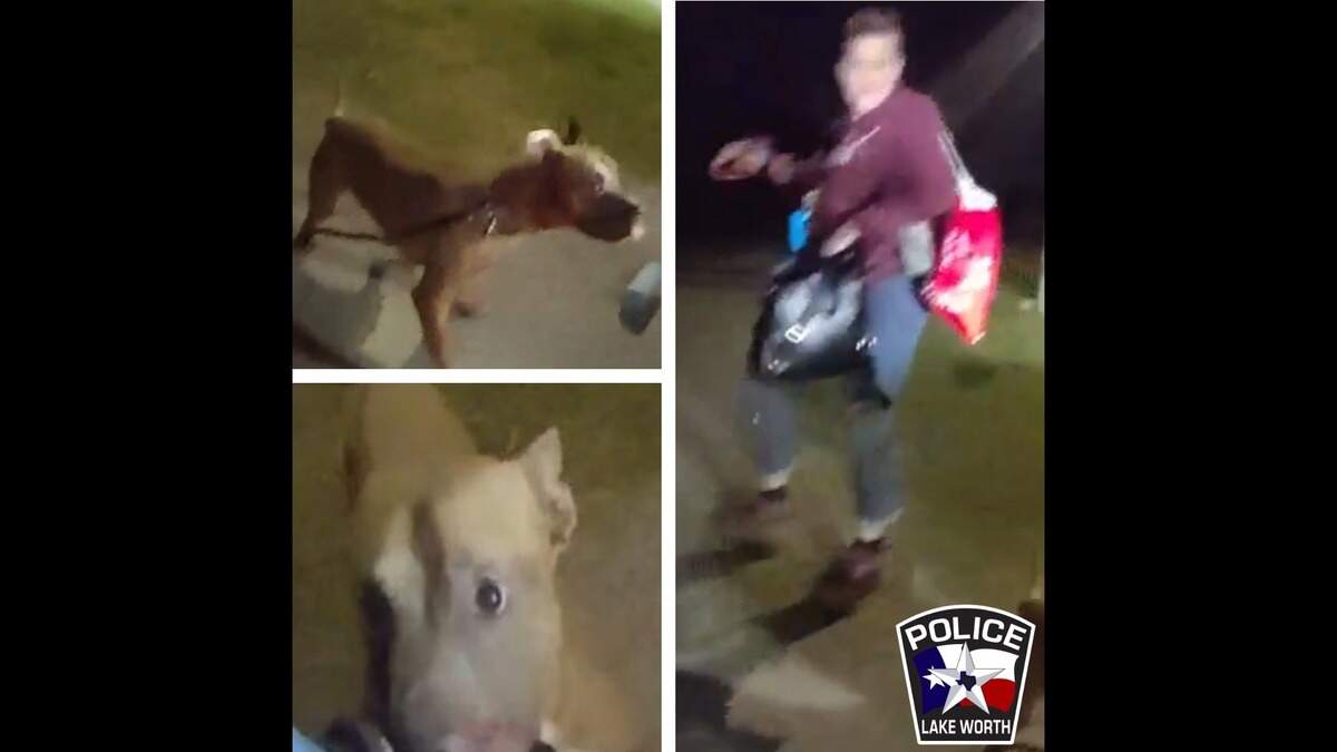 A woman was seriously injured by a Pitbull at a dog park in Lake Worth on Wednesday. Police are asking for the public’s assistance to find the dog’s owner, and a warrant has been issued for her arrest.