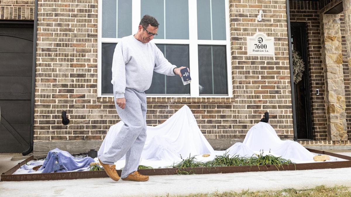 Jim Harvey sprinkles salt on his driveway and front yard to prevent snow accumulation in Fort Worth on Thursday, Jan. 9, 2025. A winter storm is expected to bring multiple inches of snow to the Dallas-Fort Worth metroplex for the next two days.