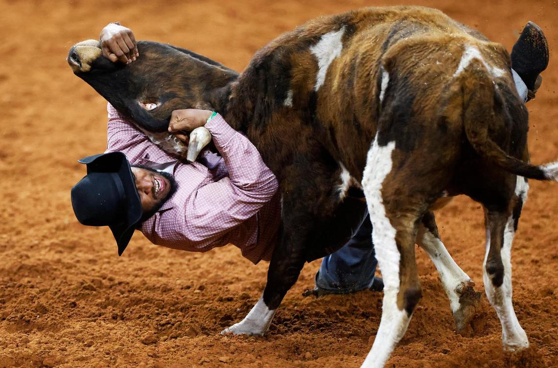 Star-Telegram visuals editor Amanda McCoy earned Top 10 recognition in the Associated Press Sports Editors contest for this action photo: Chase Pierre of Brookshire competes in the steer wrestling event of the Cowboys Color Rodeo on Jan. 20, 2025, at the Fort Worth Stock Show & Rodeo.