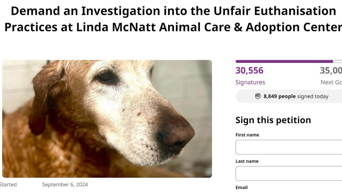 John Gilcrease took to social media and an online petition to demand an investigation and criminal charges against people at the Linda McNatt Animal Care & Adoption Center in Denton responsible for euthanizing his 12-year-old Labrador, Gunner.