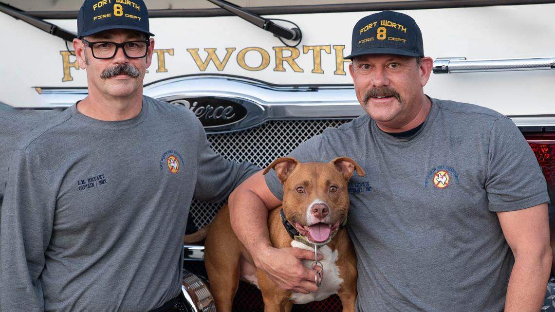 Homeless veteran Tom and his dog Jake find help, new homes in Fort Worth