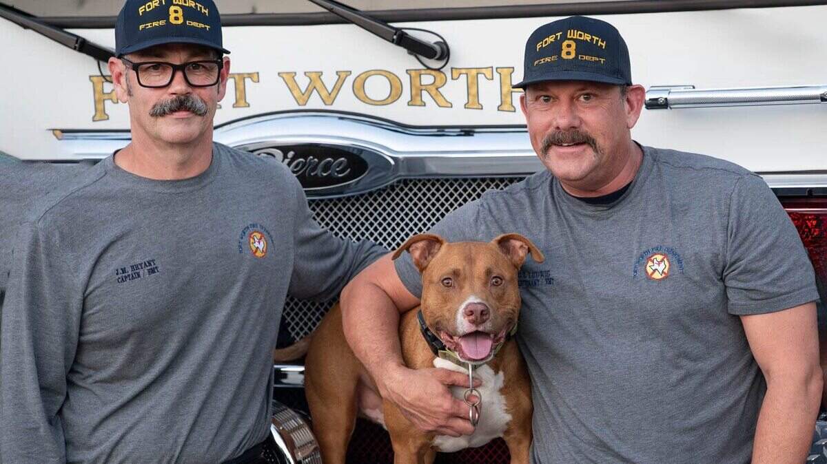 Fort Worth firefighters at Station 8 have adopted Jake the pit bull after his owner, a disabled veteran named Tom, left him tied outside with a note saying he could no longer care for the dog.