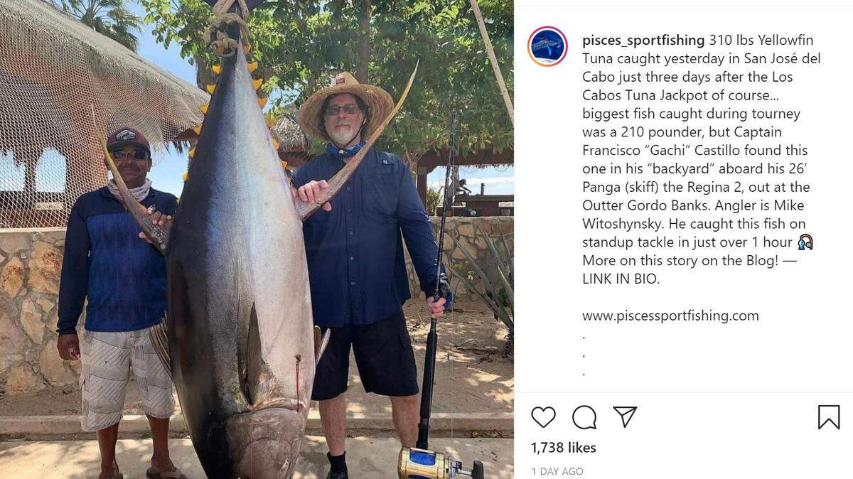 Anglers Mike Witoshysky and Capt. Francisco “Gachi” Castillo of Gordo Banks Pangas managed to reel a 310-pound yellowfin tuna just off Cabo San Lucas, Mexico.