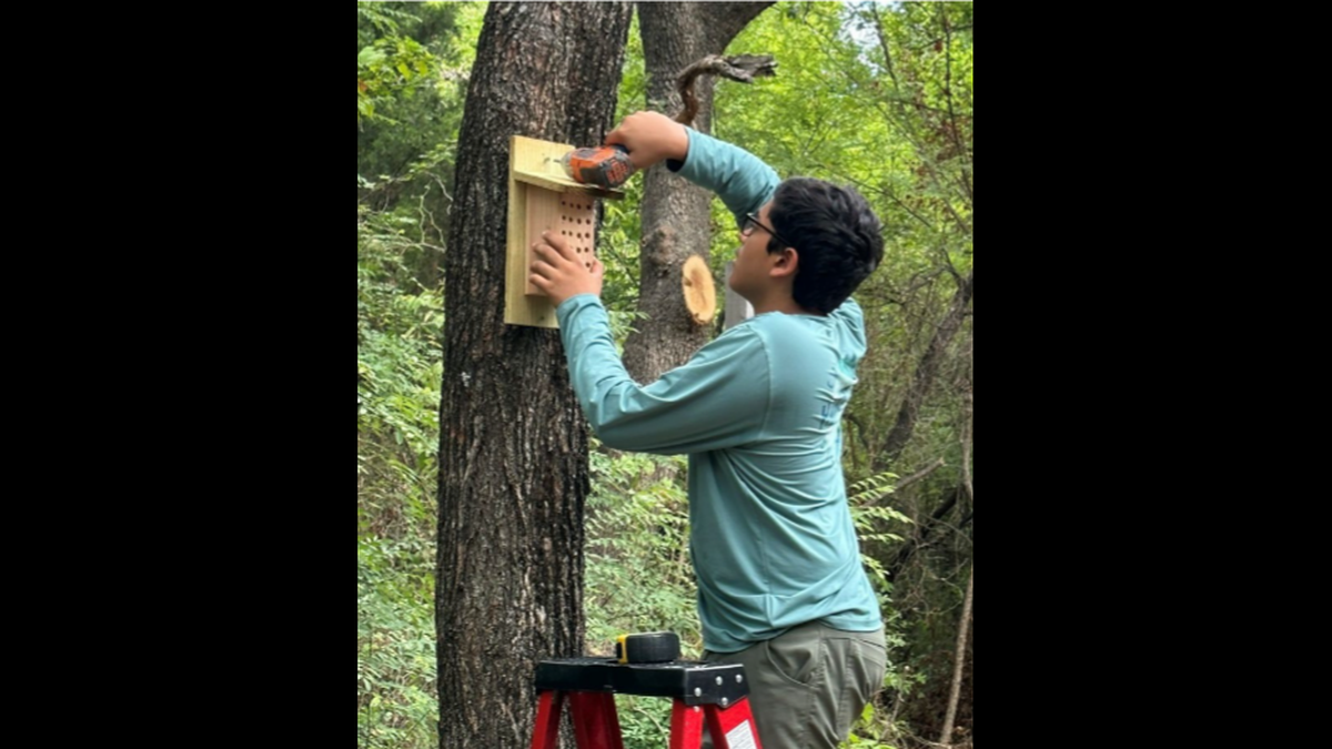 Daniel Thomas and a group of Scouts from Troop 1905 in Colleyville installed more than 50 bee houses for Keep Grapevine Beautiful Pollinator Week in 2023. The Colleyville teen has been involved in various initiatives to help the environment since he was 11.