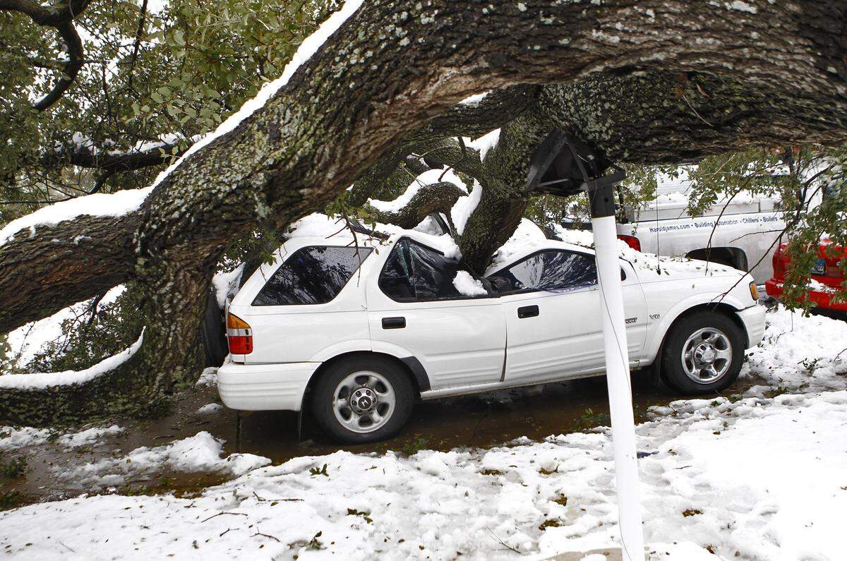 A tree in Cyndi Wood's front yard was uprooted due to the weight of the snow early Friday morning, Feb. 12, 2010, crashing on top of her Honda Passport parked in her driveway in the Ridglea neighborhood of Fort Worth. Wood's said that the tree also took out her water main.