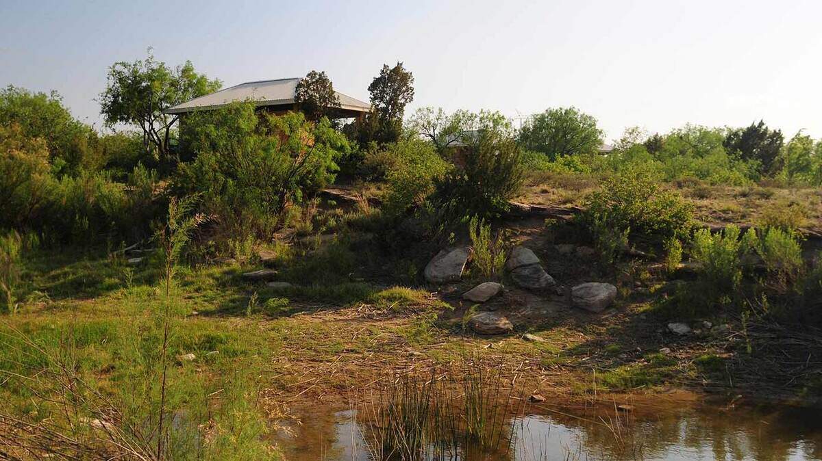 Lake Colorado City State Park, in West Texas, is the second state park owned by the power company Vistra Corp.