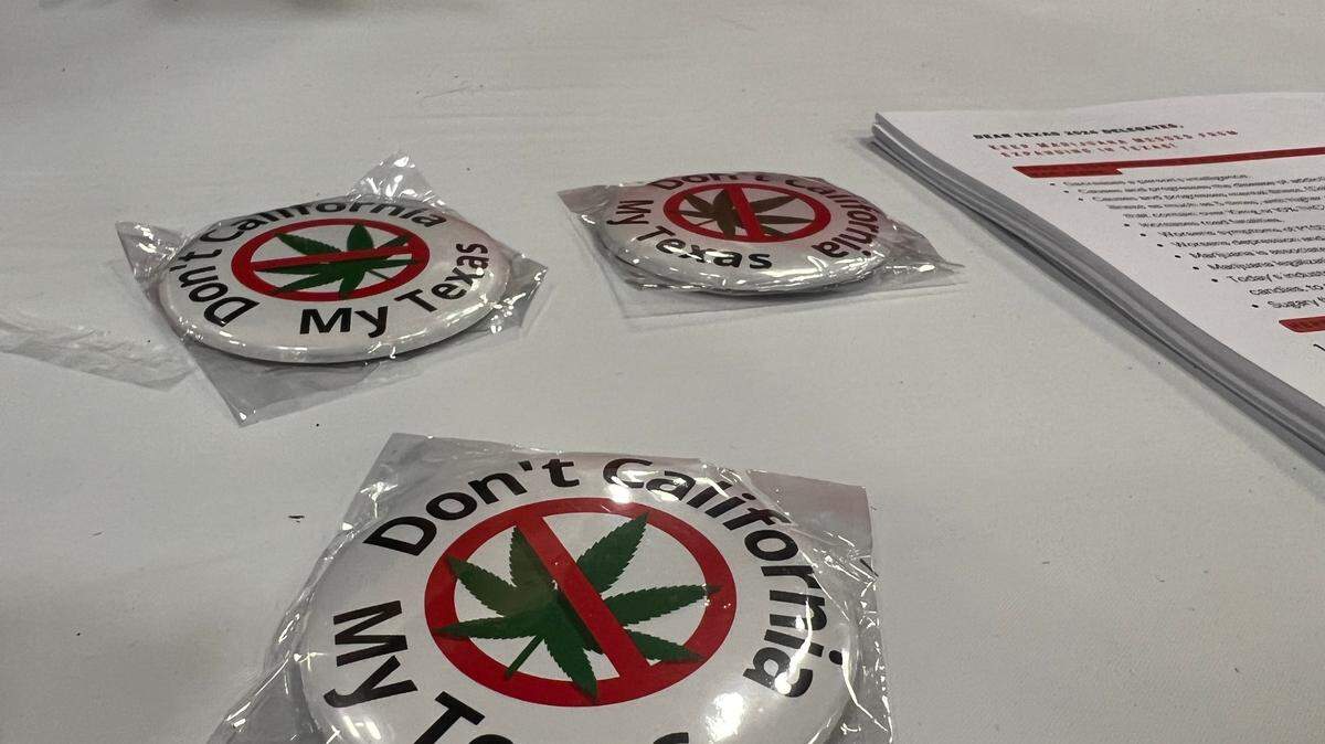 Pins passed out by Citizens for a Safe and Healthy Texas at the Texas GOP convention.