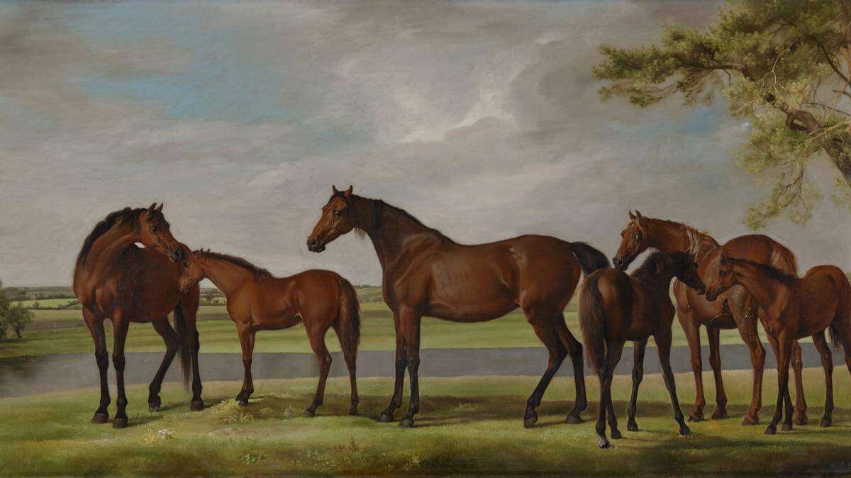 George Stubbs, “Mares and Foals Belonging to the Second Viscount Bolingbroke,” c. 1761–62, oil on canvas. Kimbell Art Museum. Acquired in memory of Ben J. Fortson (1932-2024).