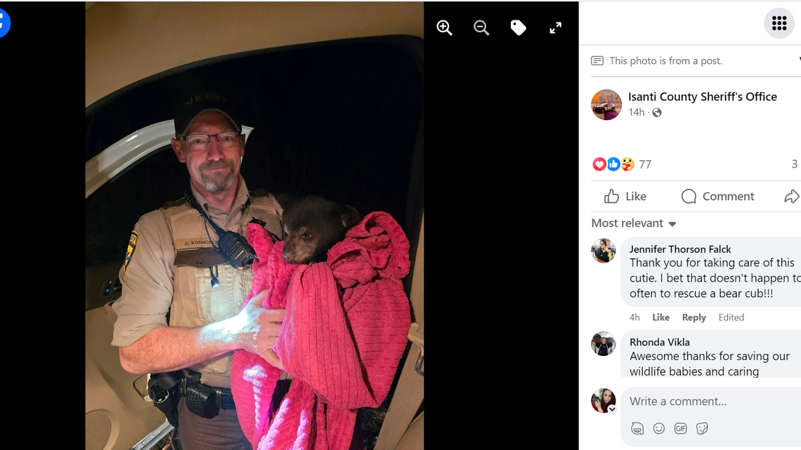 Deputy Kosmosky and the cub, all wrapped up in a pink blanket.