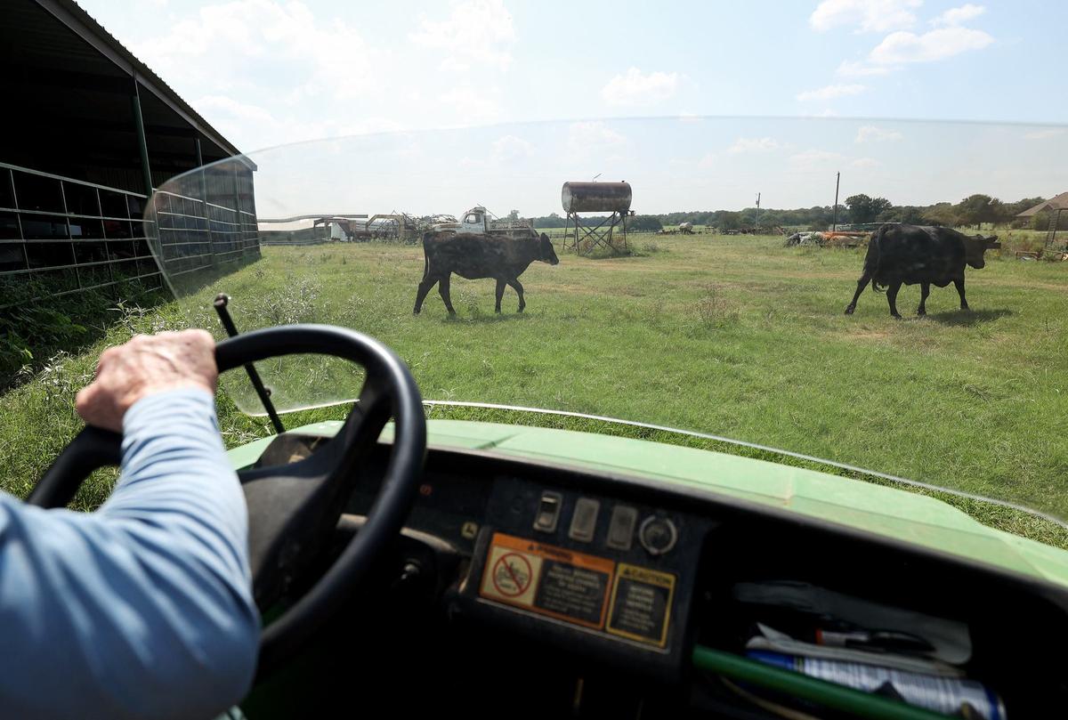 Tony Coleman gives a tour of the family’s land in Johnson County on Aug. 5. Livestock and fish have been dying since 2022. He blames forever chemicals from the biosolids found in Synagro fertilizer.