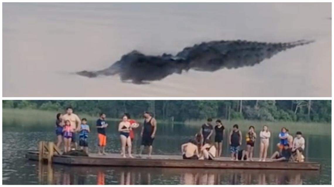 Swimmers were trapped on a platform in a lake at Huntsville State Park in Texas as an alligator lurked nearby.
