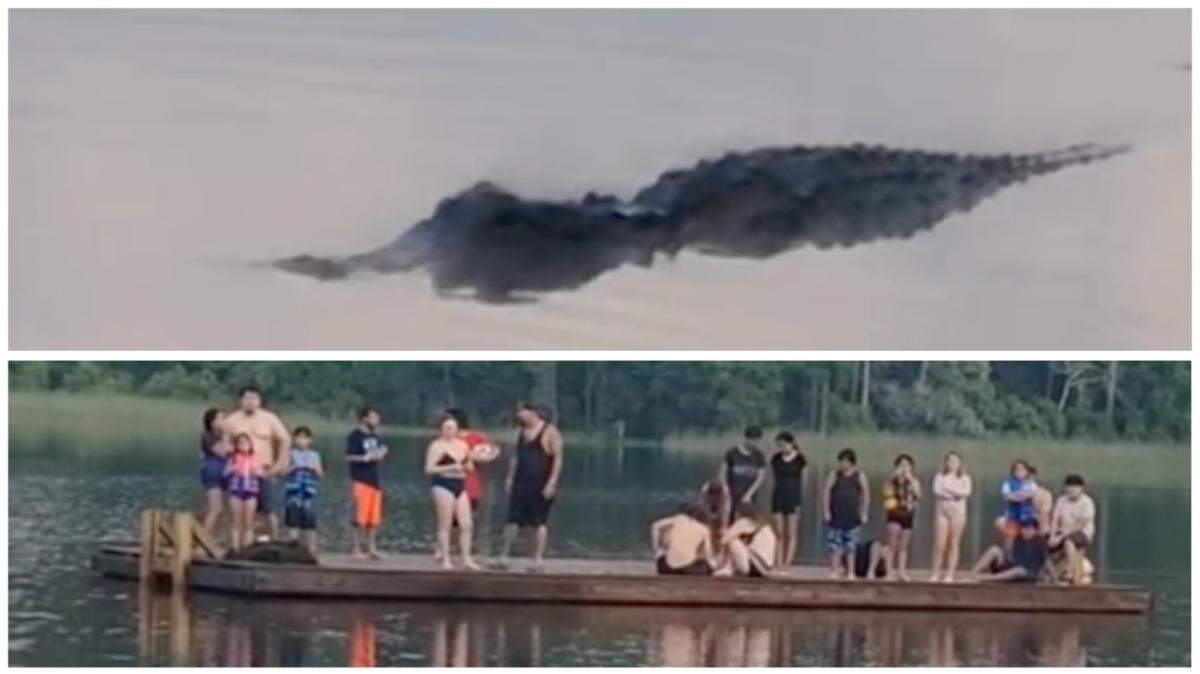 Swimmers were trapped on a platform in a lake at Huntsville State Park in Texas as an alligator lurked nearby.