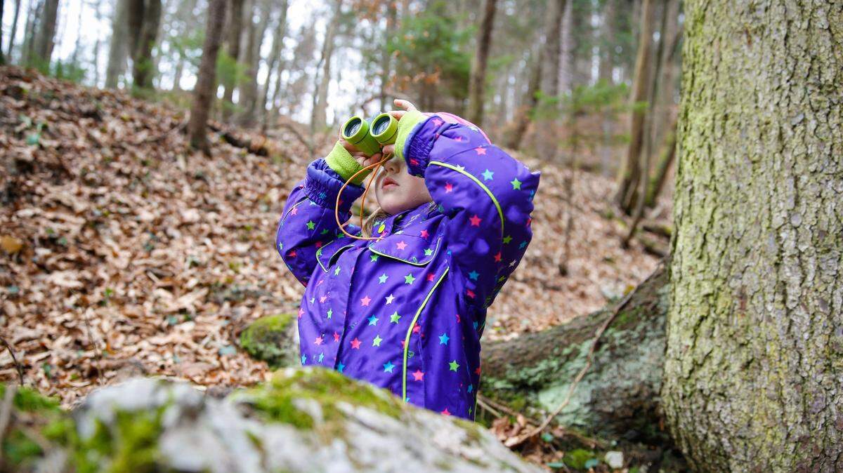 Kids and birding.