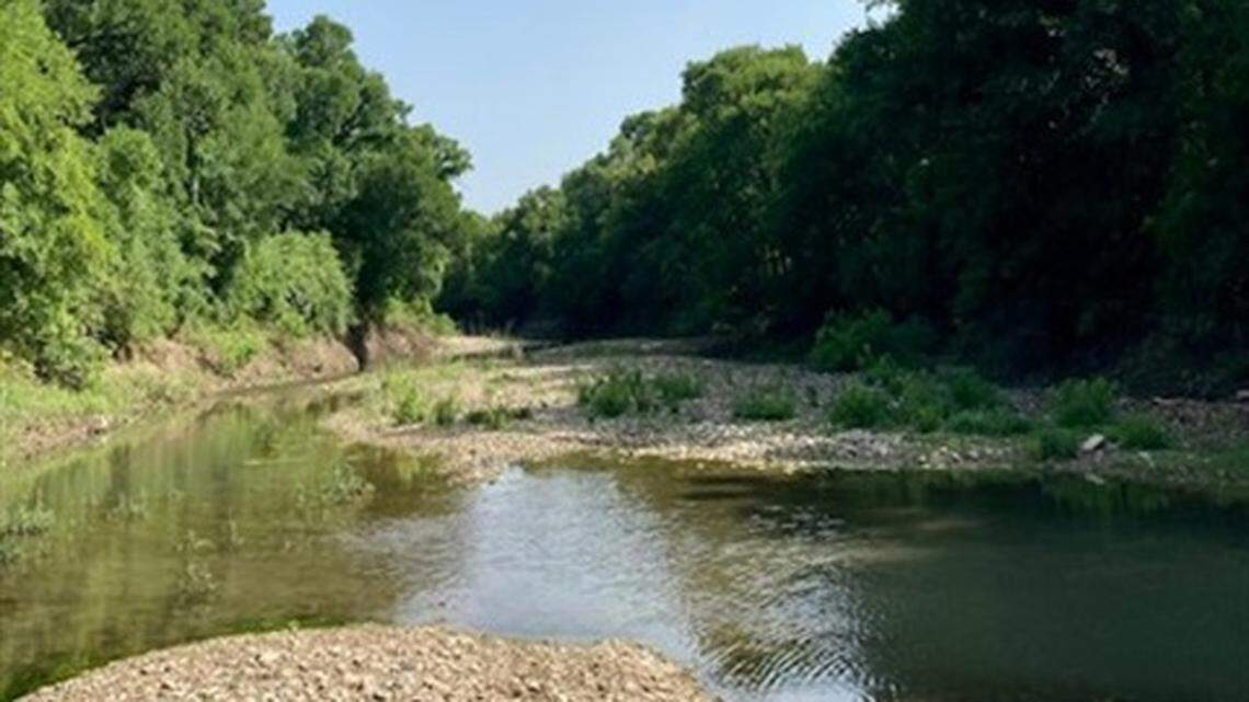 A creek with trees on either side