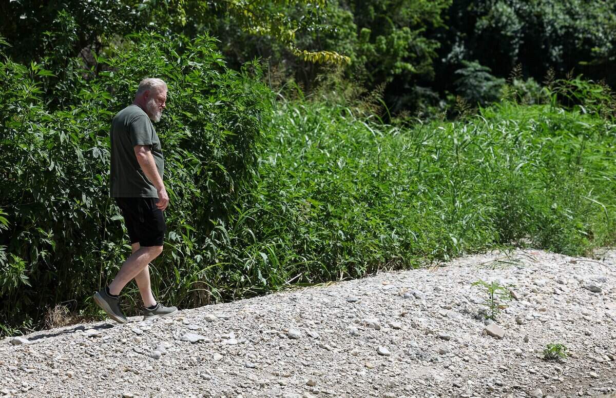 A man walk along a pebbled edge with lush green foliage behind him.