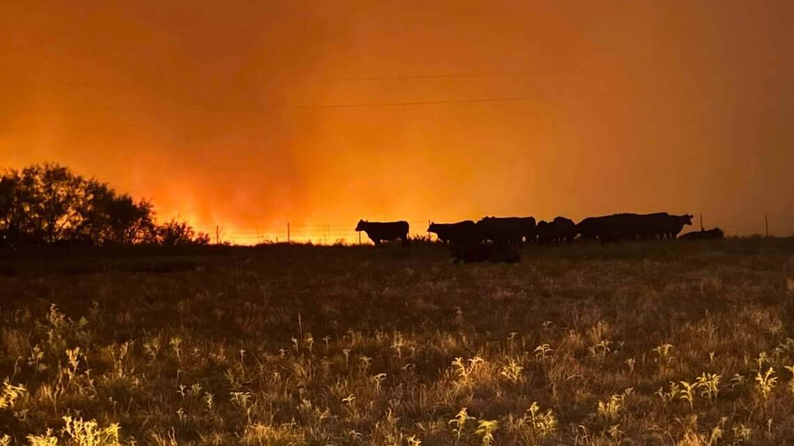 Ross Fire efforts to focus on Possum Kingdom Lake area Thursday, officials say