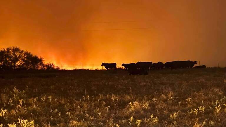 Ross Fire efforts to focus on Possum Kingdom Lake area Thursday, officials say