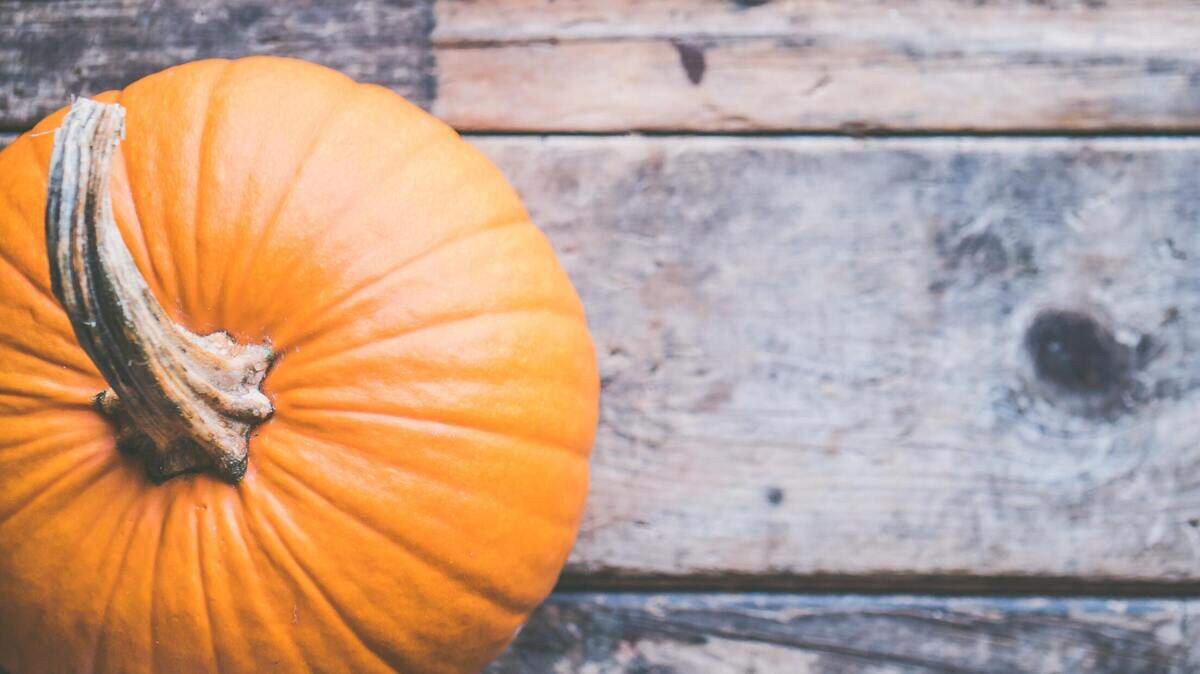 Pumpkin stock image.