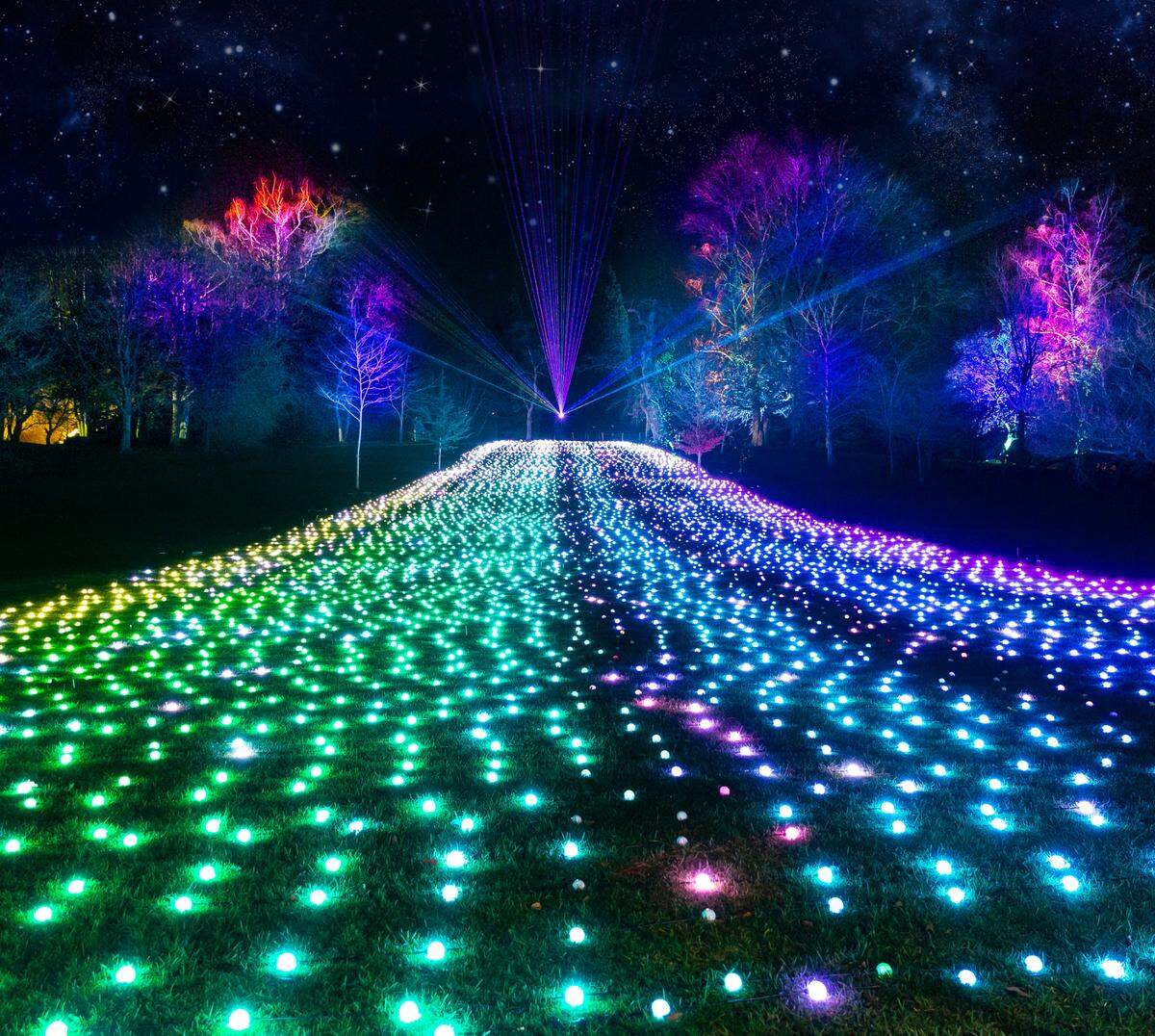 More than 80% of Lightscape will be new for the 2023 Fort Worth event.