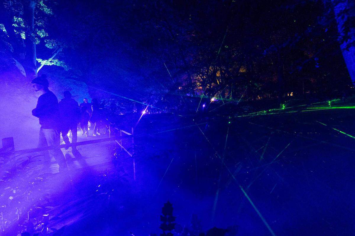 Guest walk through the ‘Laser Garden’ display during the Lightscape 2023 event at the Fort Worth Botanic Gardens on Friday, Nov. 24, 2023.