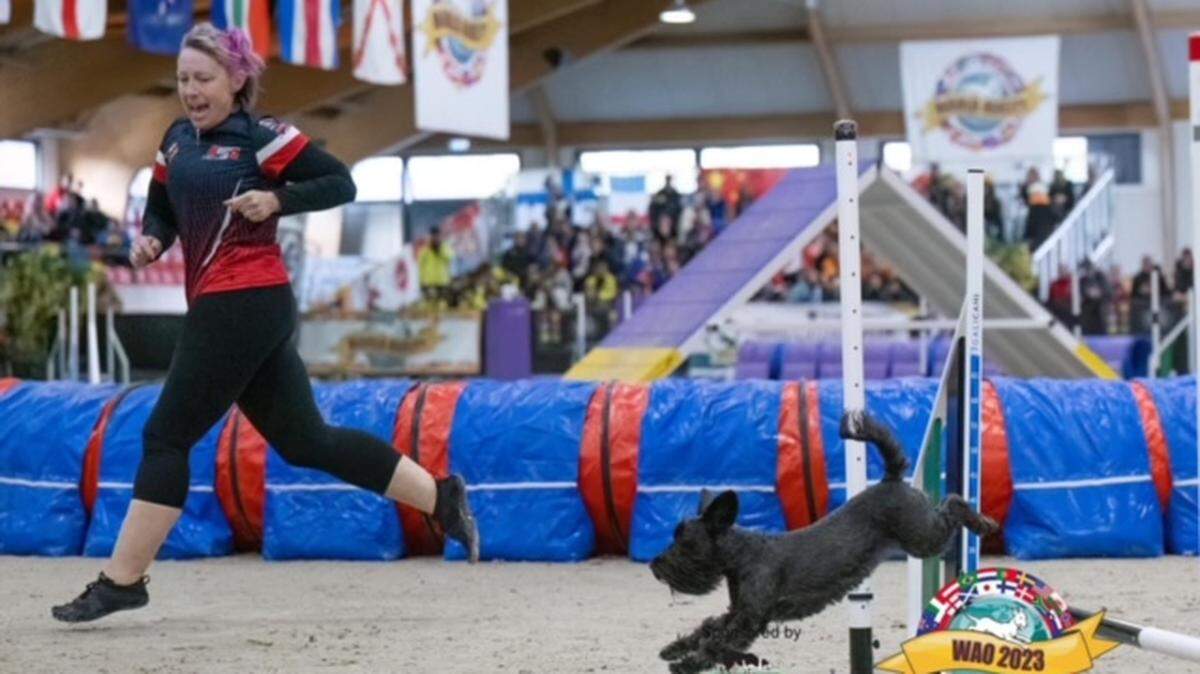 Stacy Bols and her miniature schnauzer Kermit have gone through a lot together, from cozy times snuggling to competing and winning on the world stage.