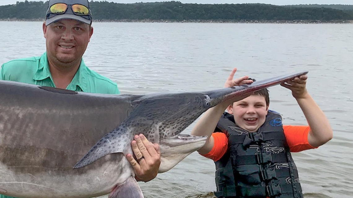 A 7-pound paddlefish released in 1997 has been recaptured in Oklahoma’s Keystone Lake, weighing a record 151 pounds. Angler Cory Watters and his son Stetson caught the fish.