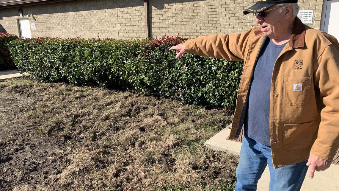 Pillaged by pigs: Wild hogs are rooting around and damaging properties in Saginaw