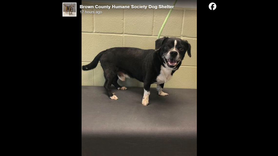 Beasty is said to be “pretty aloof.”