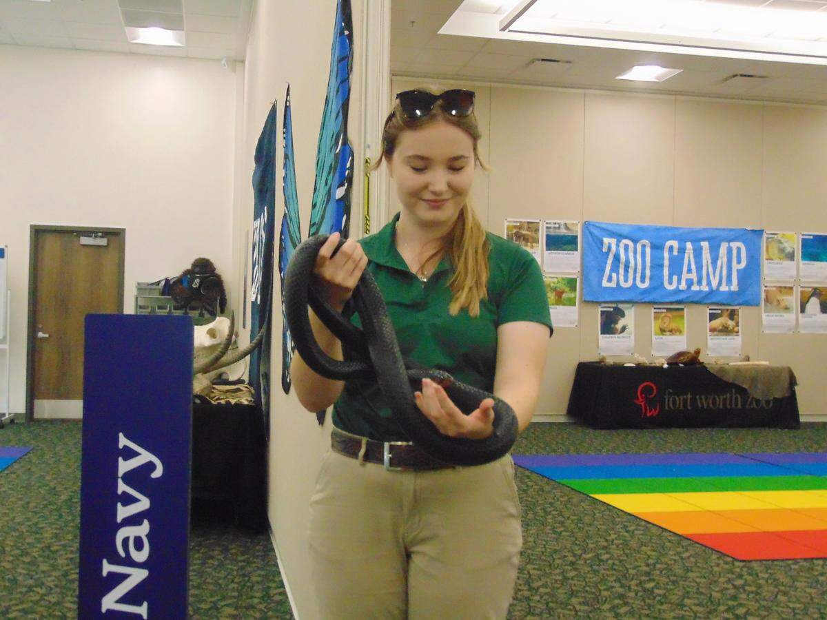 Fort Worth Zoo animal trainer Kailee Strain shows off Boba, an Eastern Indigo Snake, at the grand opening of the zoo’s Exploration and Learning Center on Thursday. Summer Zoo Camp participants will start using the center next week and will learn about many different types of animals.