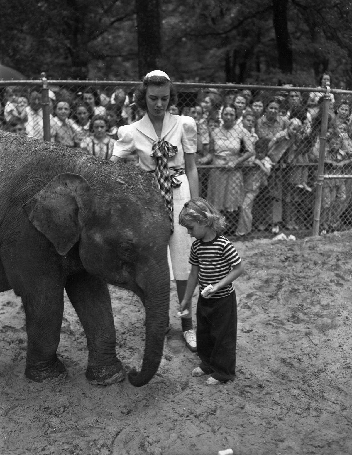Sara is wearing a dress with a large collar and a checkered bow along the front. A crowd of people are standing behind the fence, watching as the girls feed the baby elephant.