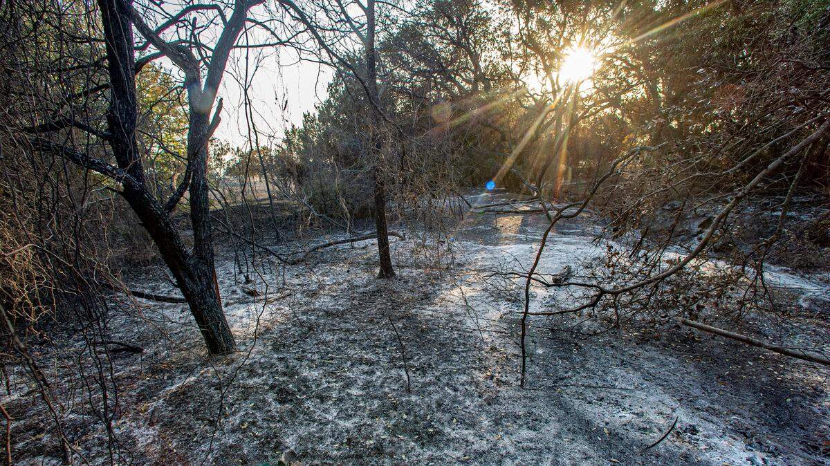 The Chalk Mountain fire ravaged ranches and scrubland in Somervell County damaging homes and vehicles. July 20, 2022.