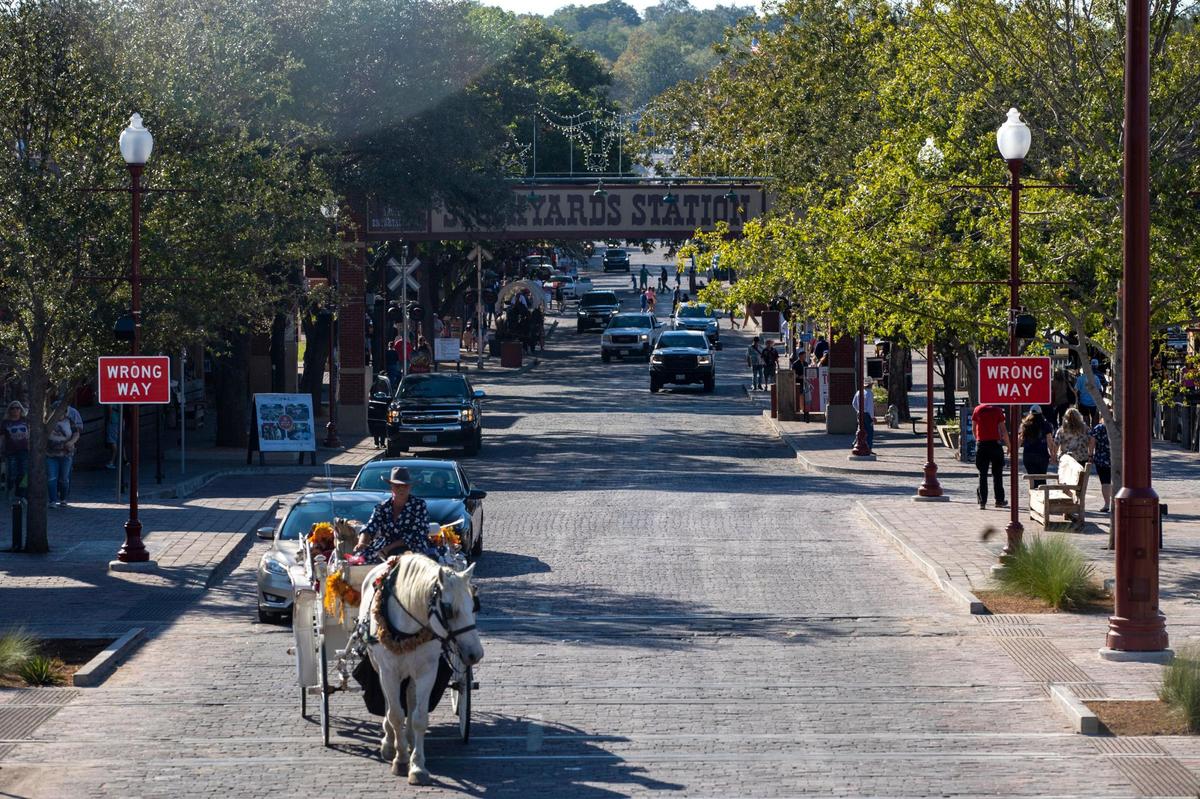 A horse carriage rides through the Stockyards among traffic Friday in Fort Worth.