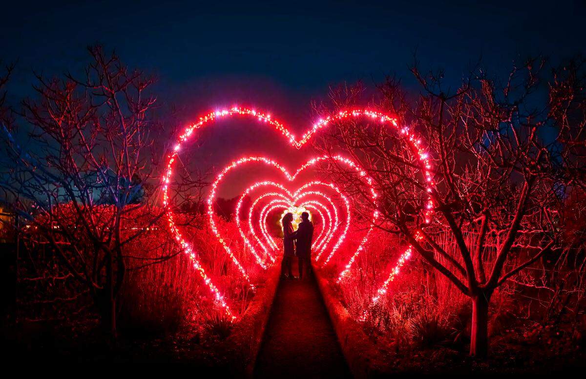 Fort Worth’s 2023 Lightscape show will open at the botanic garden on Friday.