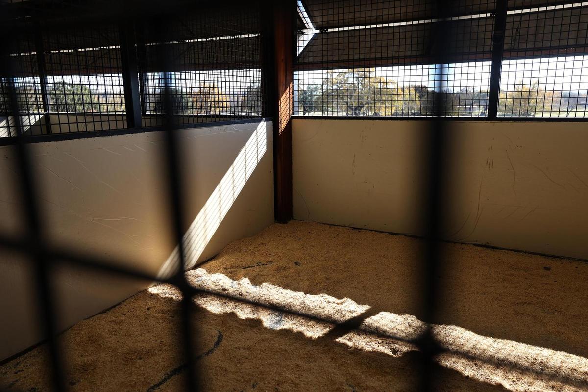 The barn on 270 Price lane in Weatherford features 12 large stalls with airplane hanger doors that open to allow sunlight and air.