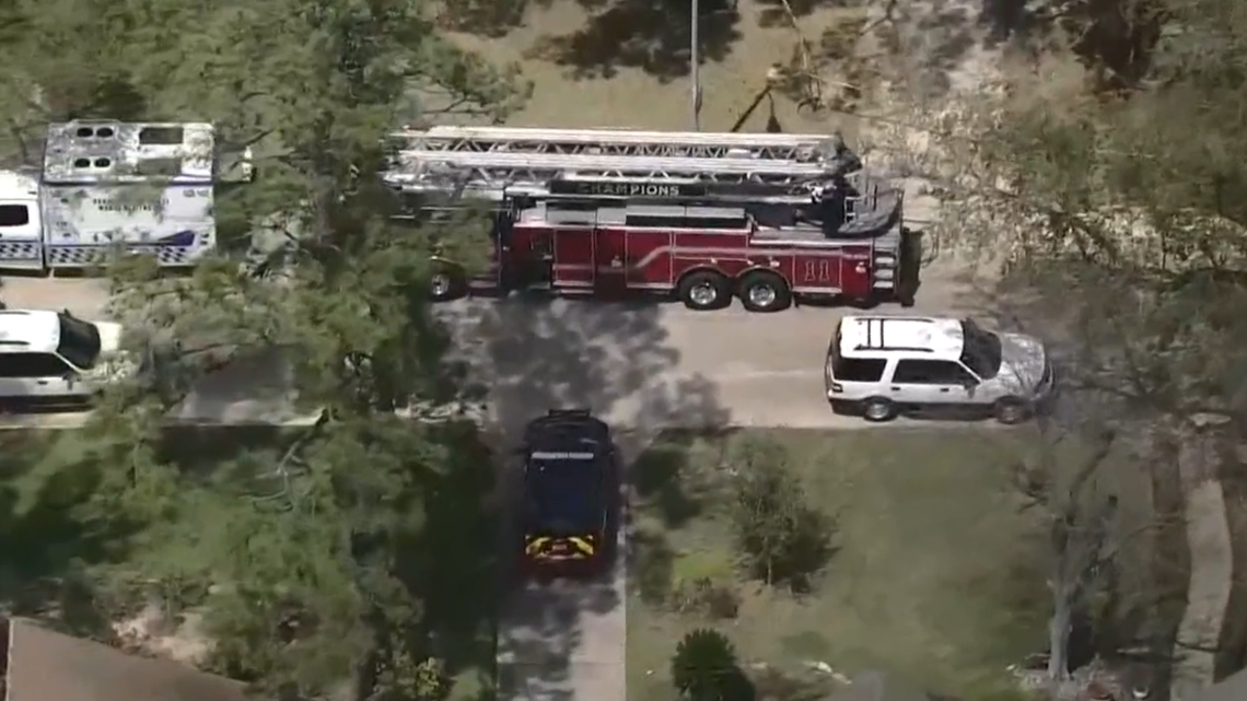 A man hired to trim trees in this Texas neighborhood died of electrocution, fire officials say.