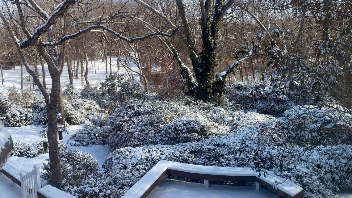 New Plant Hardiness Zone Map doesn’t reflect what happens in Texas most winters