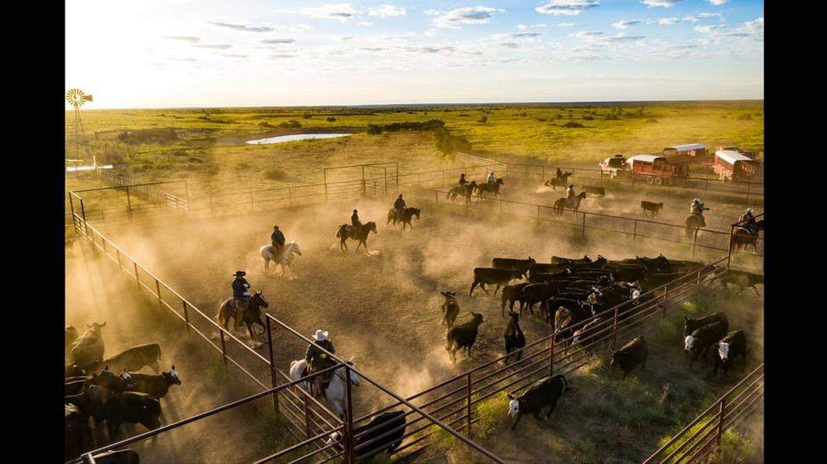 The Four Sixes Ranch is known for its quarter horses and cattle that graze on bluestem and native pasture.