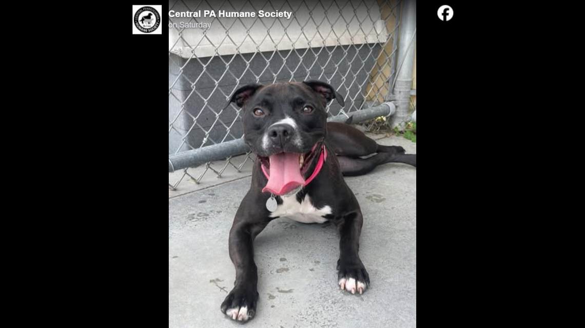 Bella has a new home — while still being with her old family.