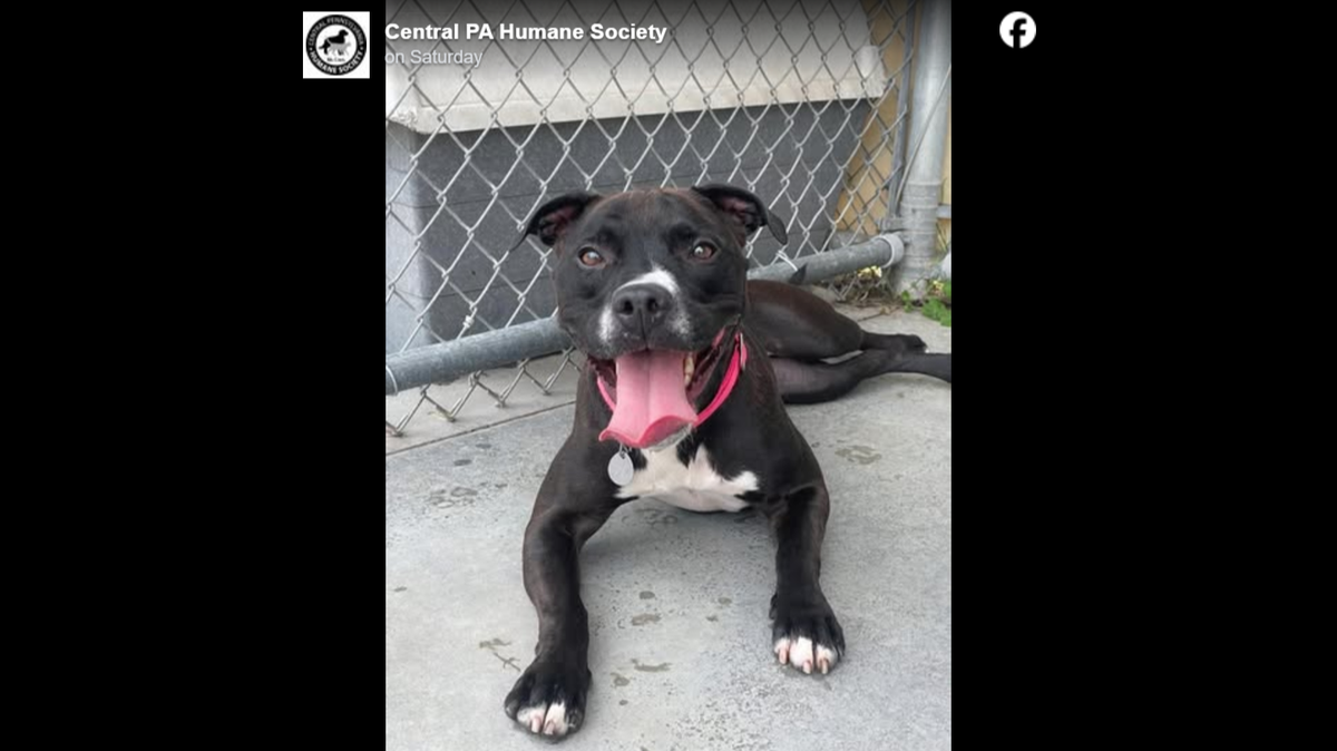 Bella has a new home — while still being with her old family.