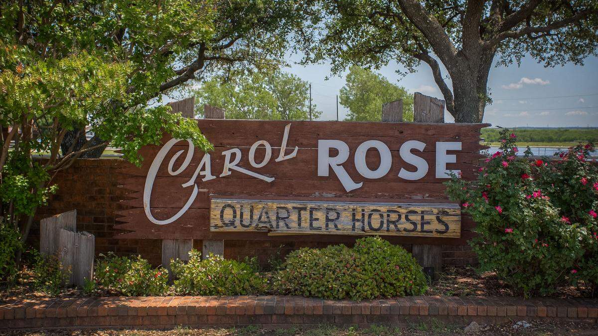 The Carol Rose Ranch property is comprised of 253.5 acres.
