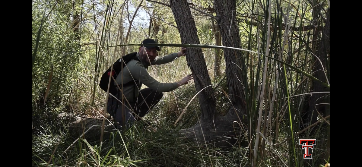 Garret Langlois, a doctoral candidate at Texas Tech, shows where his cameras spotted a beaver.