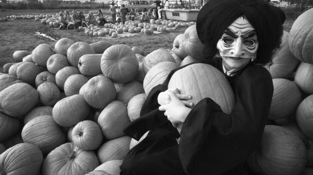 Kenra Chambers, age 7, snags the perfect Halloween pumpkin from a Hurst sales lot in 1974.