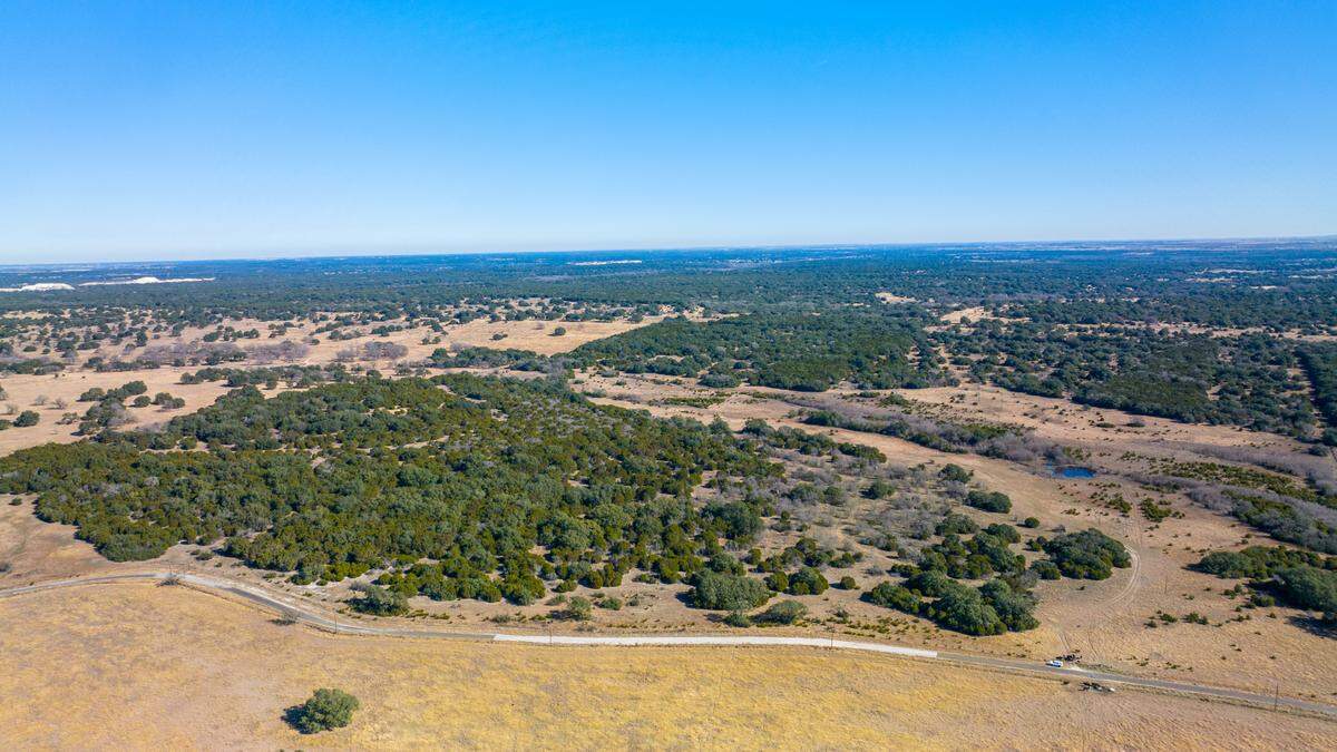 Pecan Ranch