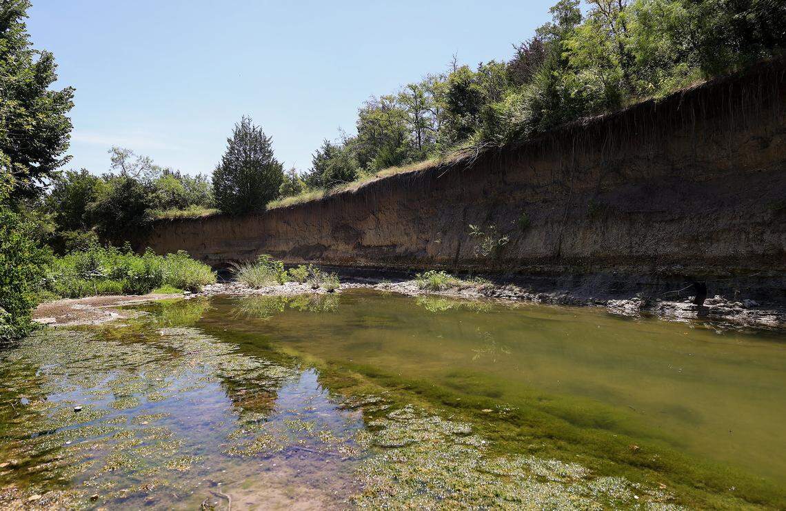 Mary's Creek, a tributary to the Clear Fork of the Trinity River, in Benbrook on Wednesday, July 30, 2025. Residents are concerned rezoning an 80-acre plot of land on the eastern edge of Mary's Creek for development could alter the floodplain and potentially cause seious flooding issues.