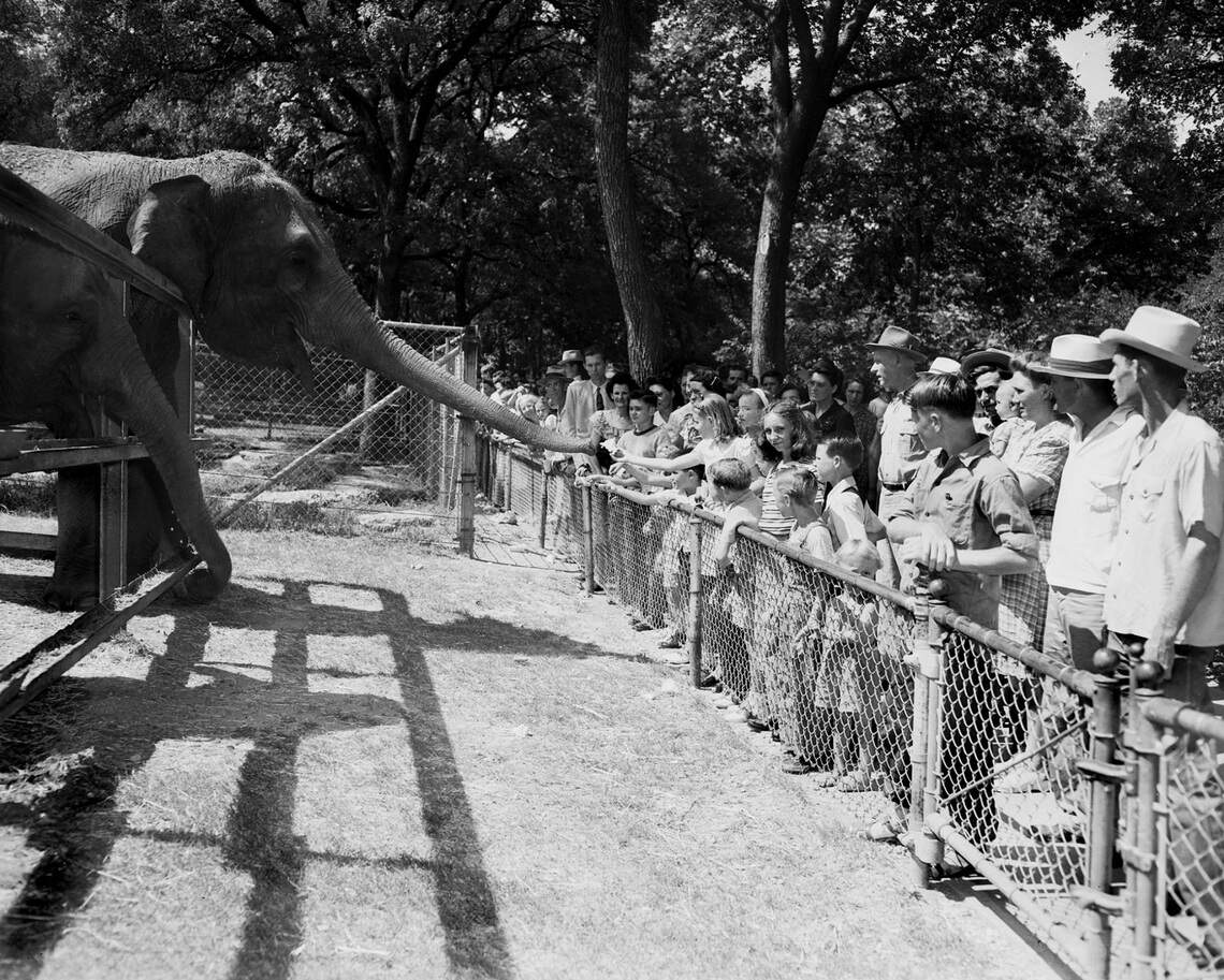 Historic archive photos of Fort Worth Zoo in the 1940s-1950s | Fort