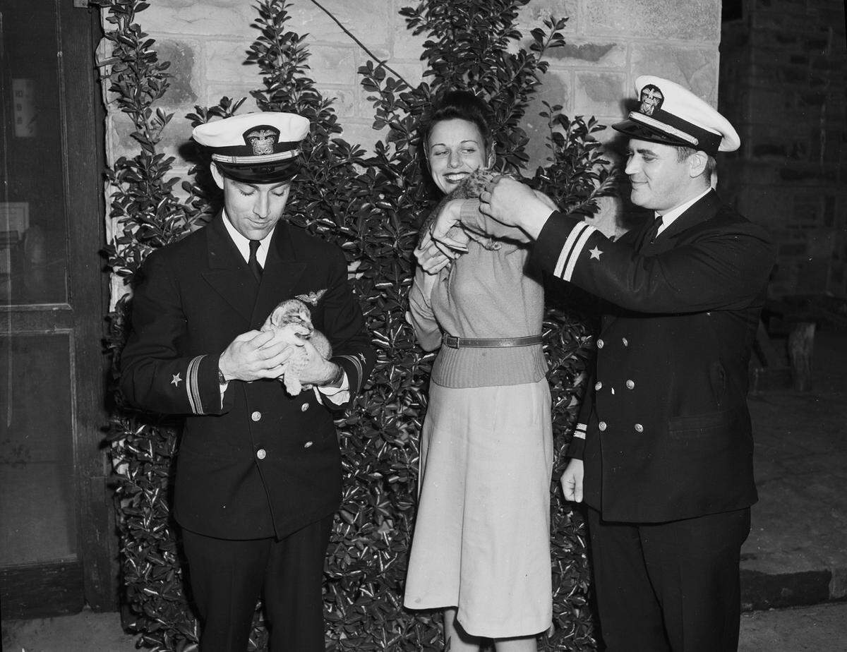 Lt. Webster is holding one of the cubs. He and Hawkes are dressed in military uniforms. Mrs. Webster is holding the other cub. She is wearing a sweater and a skirt. They are standing in front of a brick wall covered in vines.