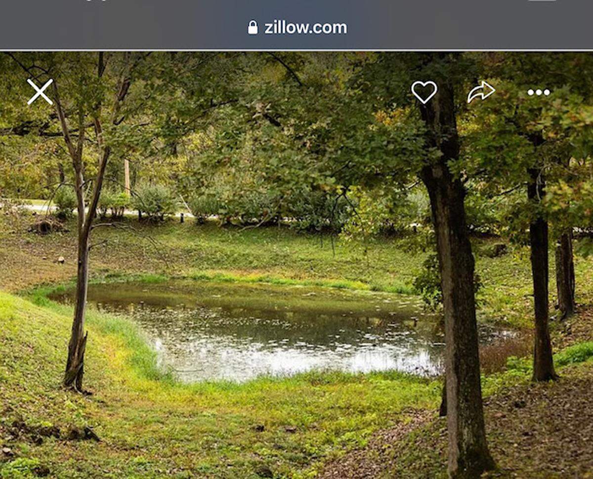 Grounds