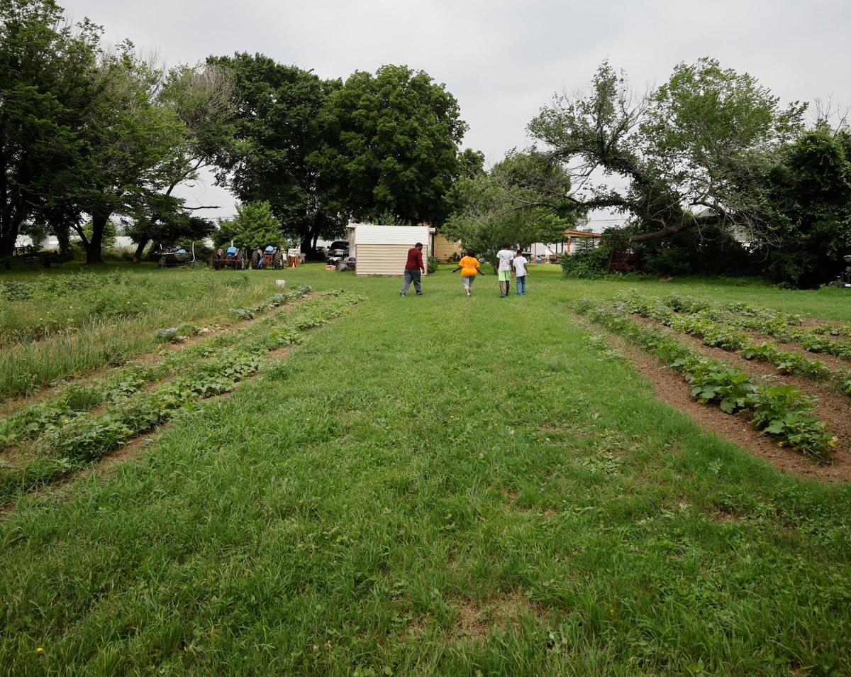 UTA professor Letora Anderson, her sons Daniel, 12, Kirby 14, Trina Sanders and Kareem Jefferson walk back between two gardens in Fort Worth, Texas, Friday May 24, 2024. The Sanders have lived in The Garden of Eden, also known as a Freedman’s Community, almost since the neighborhoods beginnings. (Special to the Star-Telegram/Bob Booth)