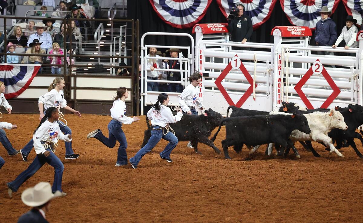 Youth race to take down a calf in the Cowboys of Color Rodeo’s Calf Scramble on Monday, Jan. 20, 2025, in Fort Worth. Those fast enough to snare a calf were given $500 to use towards the purchase of a calf of their choosing.