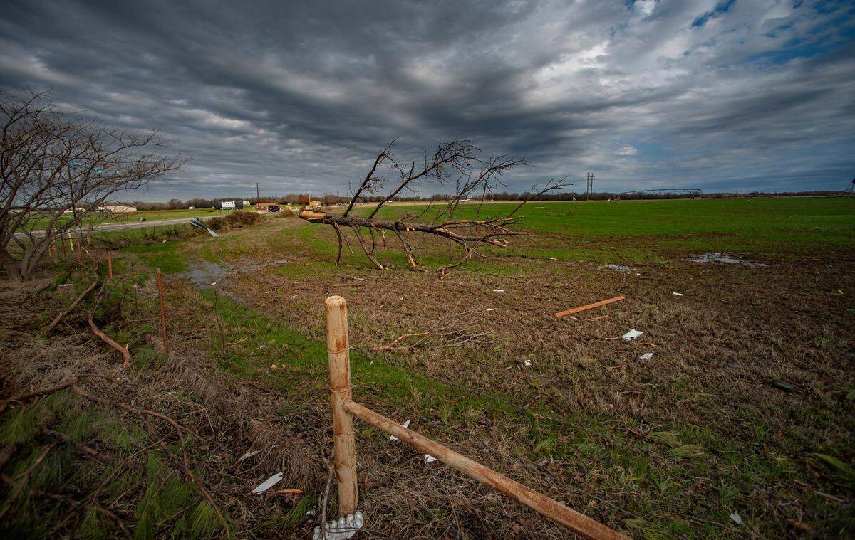 The top half of a tree lands on a pasture 50 yards away from where it was ripped off by the strong winds. A tornado touched down just south of Decatur, Texas, along FM 730 early morning Tuesday, Dec. 13, 2022, tearing the roof off of a home and ripping trees in half. Debris was strewn across the highway.